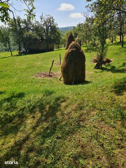 Teren de 10000 mp, în Șotrile