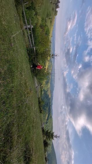 Teren de 50000 mp, în Petelei