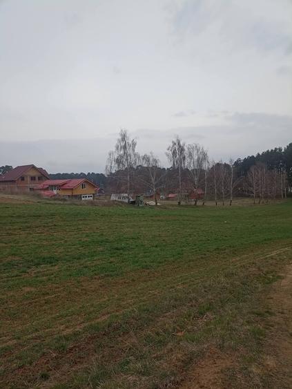 Teren Construcții intravilan de 679 mp, în Reci