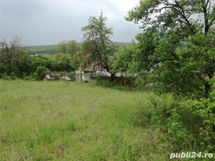 Teren de 4450 mp, în Budiului