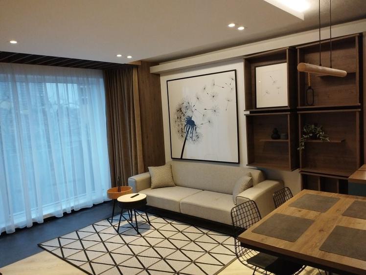 Apartament cu 2 camere semidecomandat în Horea