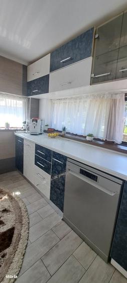 Casă cu 4 camere în Valea Borcutului