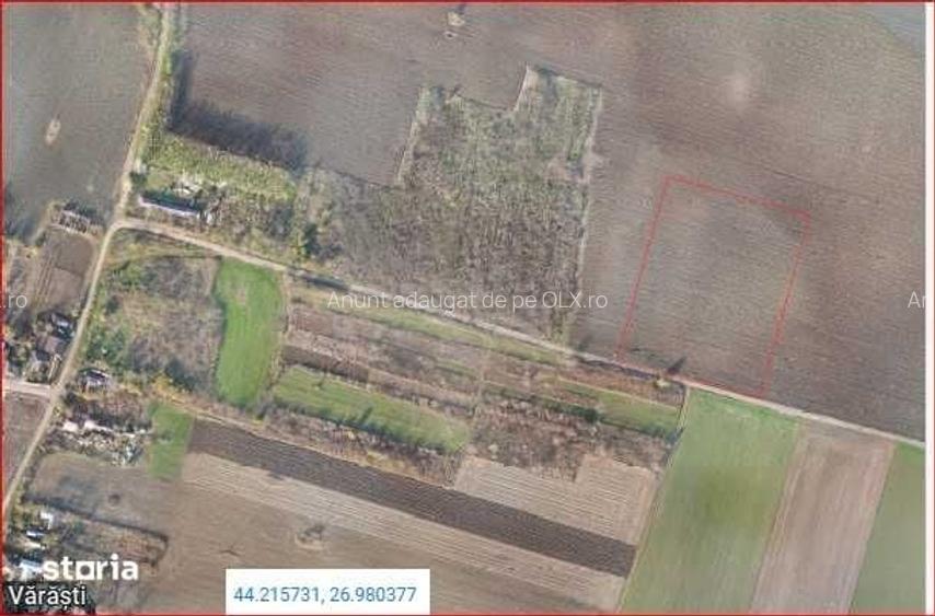 Teren extravilan - 2 parcele sat Varasti comuna Dorobantu CL