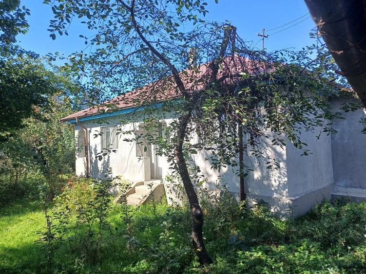 Casă individuală cu 5 camere cu Teren 1100 Mp în Colceag
