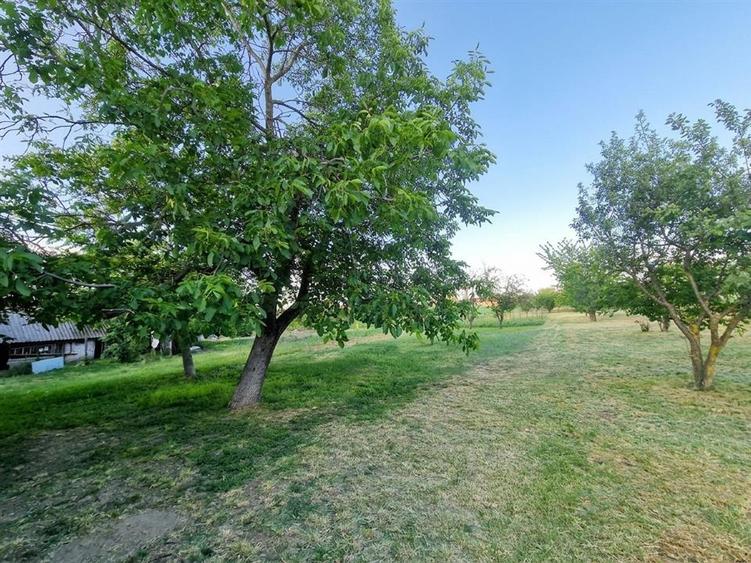 Casă cu 4 camere cu Teren 2700 Mp în Girișu de Criș