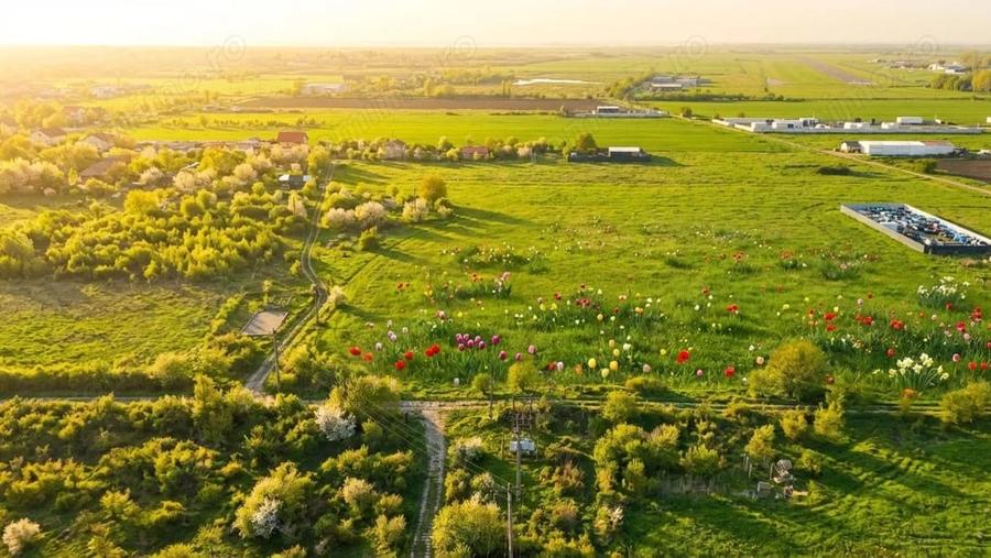 Teren de 3900 mp, în Central