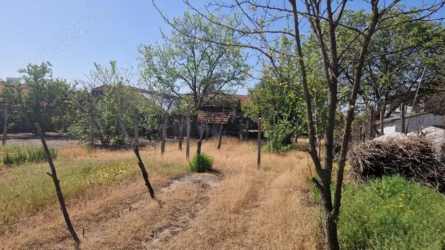 Casă cu 5 camere cu Teren 3937 Mp în Ianca