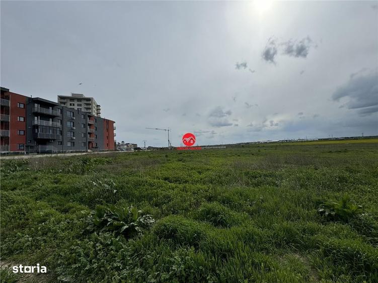 Spațiu comercial, în Boreal