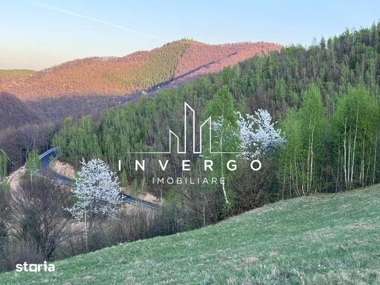 Teren de 4300 mp, în Vale
