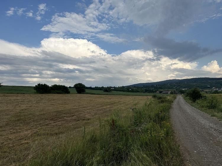 Spațiu comercial, în Todirel