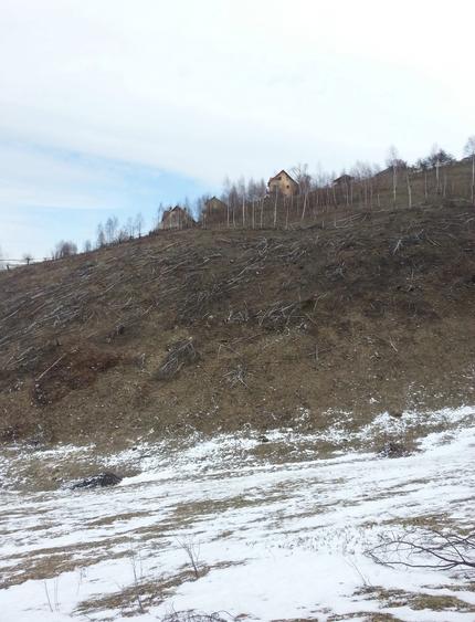 Teren extravilan de 3750 mp, în Moieciu de Jos