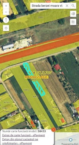 Teren intravilan 1.000 mp | Moara Vlasiei | Strada Berzei - 5
