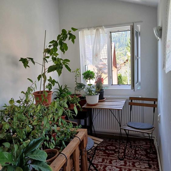 Apartament cu 3 camere decomandat în Zamora