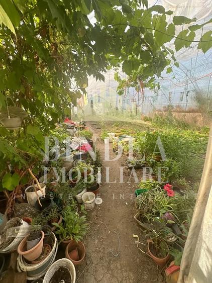 Casă cu 4 camere cu Teren 1052 Mp în Giarmata
