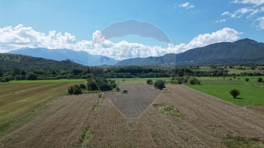 Teren agricol intravilan de 1180 mp, în Sud