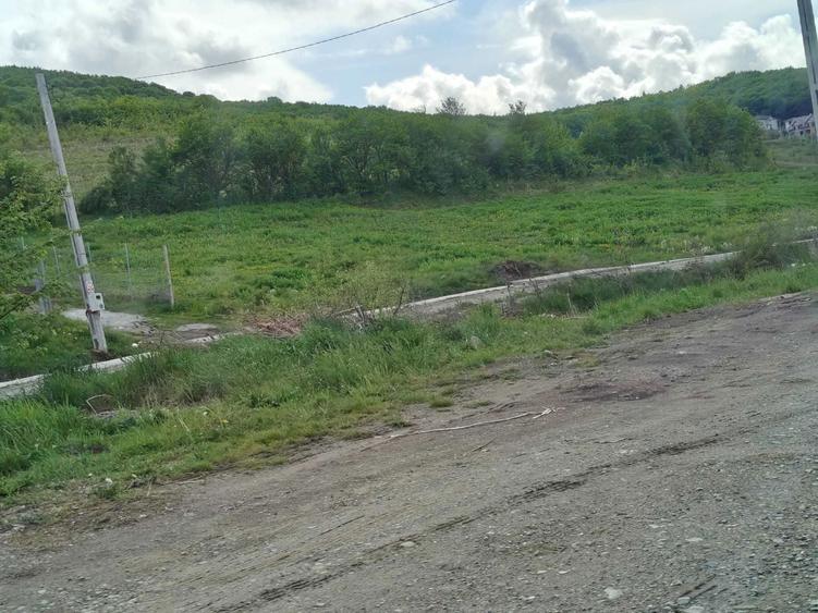 Spațiu comercial, în Jelna
