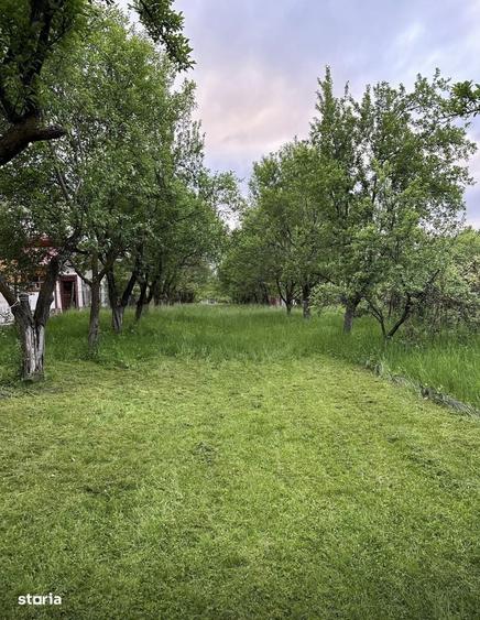 Teren Intravilan Cu Utilitati Tocile Str Stejarului Panorama Deosebita - 3