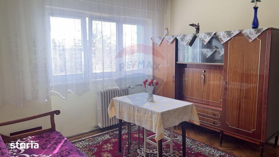 Apartament cu 3 camere de inchiriat in zona Podgoria - 20