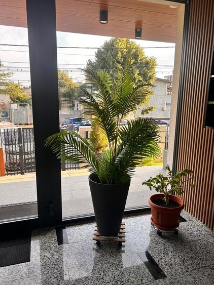 Apartament cu 3 camere decomandat în Bd. Coșbuc