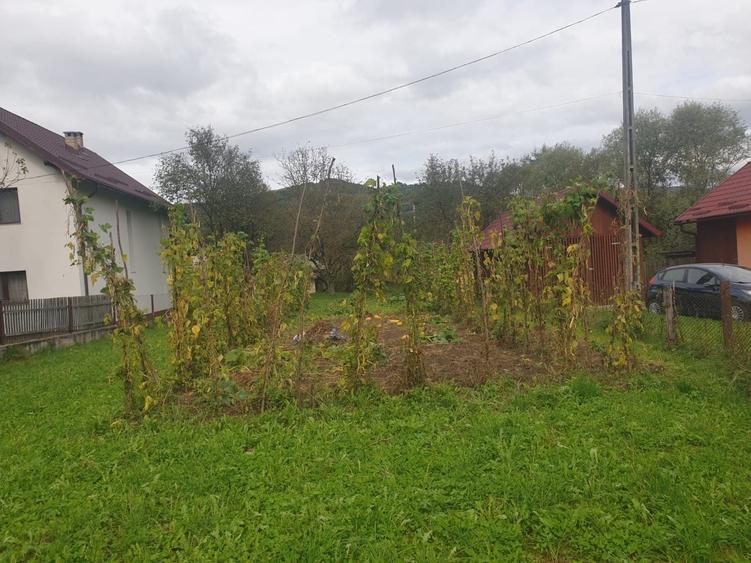 Casă cu 4 camere în Vișeu de Jos