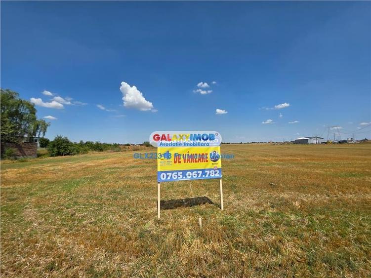 Teren Construcții intravilan de 24995 mp, în Clinceni