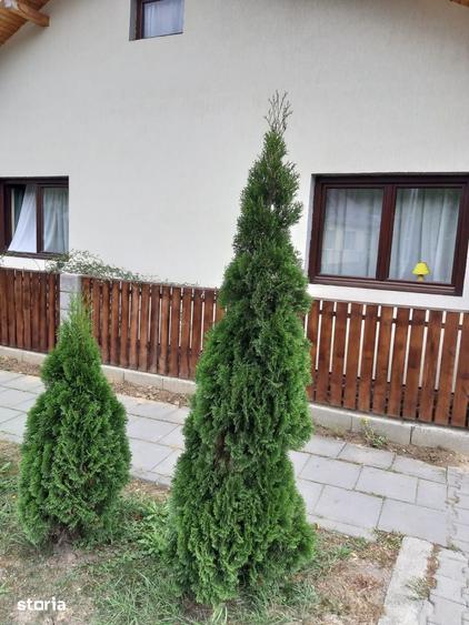 Casă cu 2 camere cu Teren 700 Mp în Central