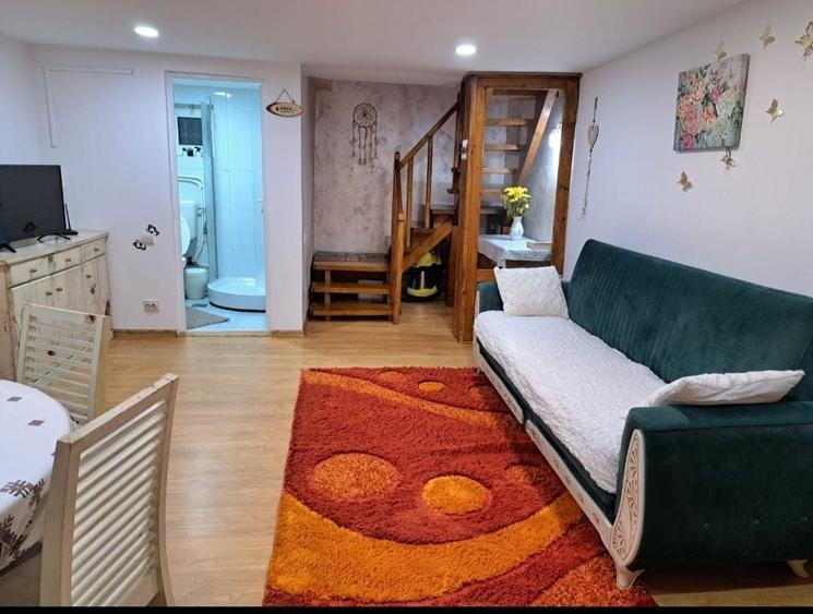 Casă cu 2 camere în Rucăr