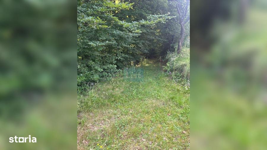 Teren de 20000 mp, în Săcuieu