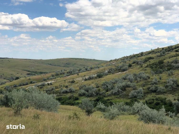 Teren de 500000 mp, în Gura Vadului