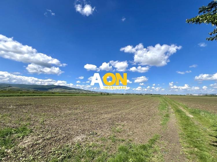 Teren Construcții intravilan de 5360 mp, în Exterior Sud