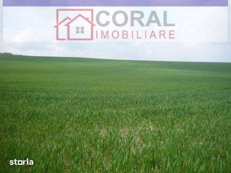 De vanzare teren intravilan Bocsa Mica Sacaramb - 1