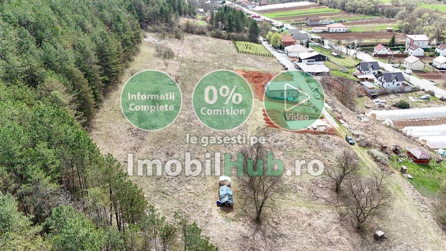 Teren Construcții intravilan de 10130 mp, în Vlaha