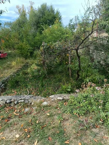 Casă cu Teren 2500 Mp în Măldărești