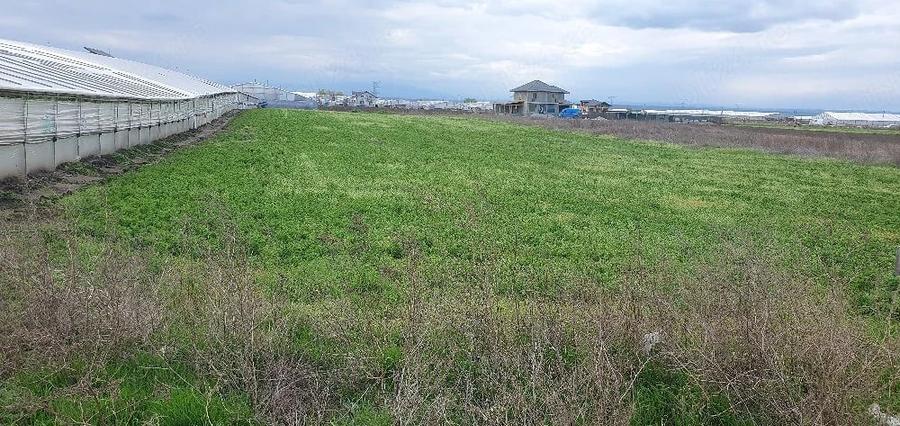 Teren de 4000 mp, în Matca