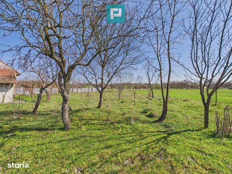Casa cu teren de 6000 mp in Duboz, Timis - 13
