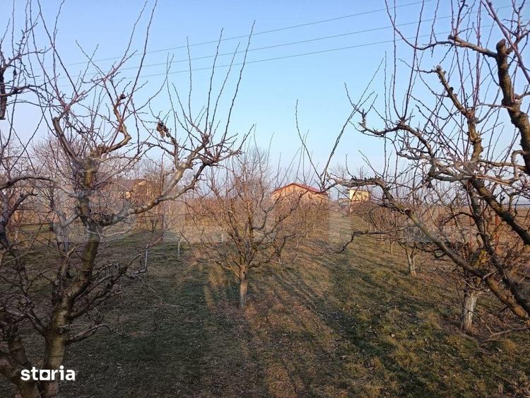 Spațiu comercial, de 300 mp, în Filipeștii de Pădure