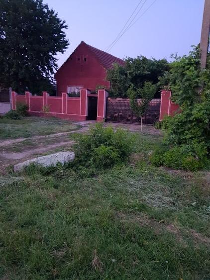 Vand casa an comuna Sicula jud Arad - 1