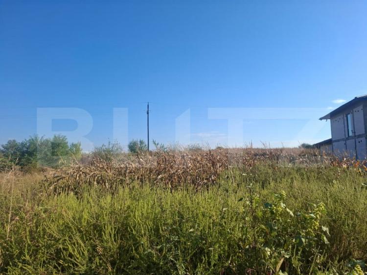 Teren intravilan 5.000 mp in Bungetu, langa lacuri de pes - 1