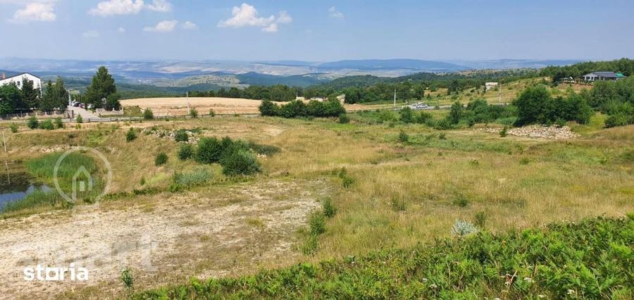Teren de 1008 mp, în Ciurila