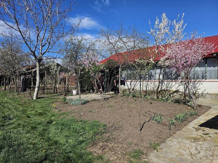 Casă cu 4 camere în Fulga
