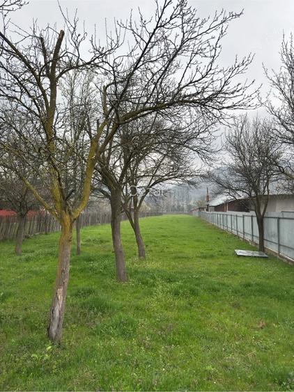 Teren de 2900 mp, în Central