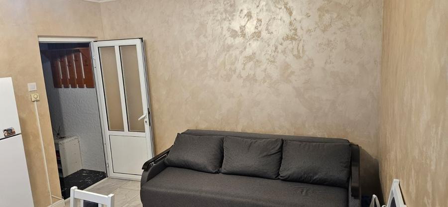 Apartament C.A Rosetti la Parter 250 mobilat si utilat - 8