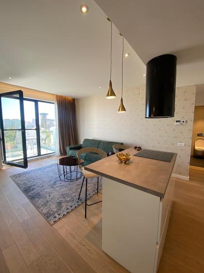 Apartament cu 2 camere semidecomandat, mobilat în Herăstrău — fotografia 2