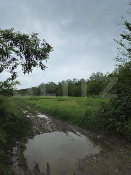 Teren Construcții intravilan de 3355 mp, în Gorgota