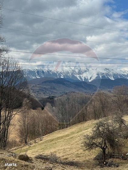 Spațiu comercial, în Fundata