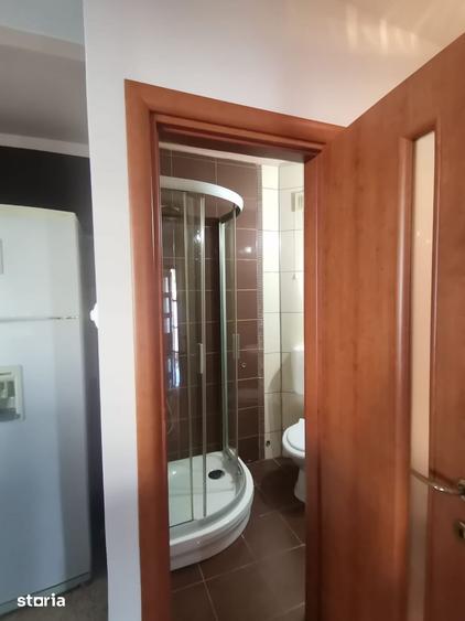 Apartament cu 3 camere în Seleuș