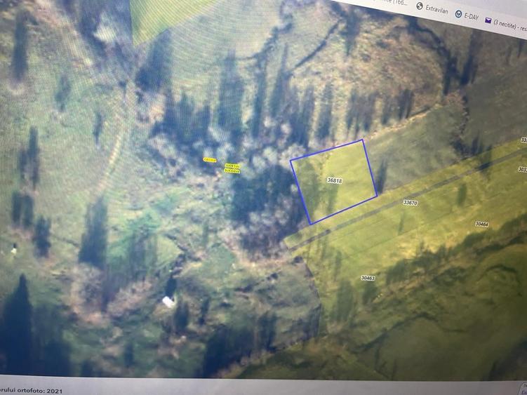 Teren de 1600 mp, în Cacica