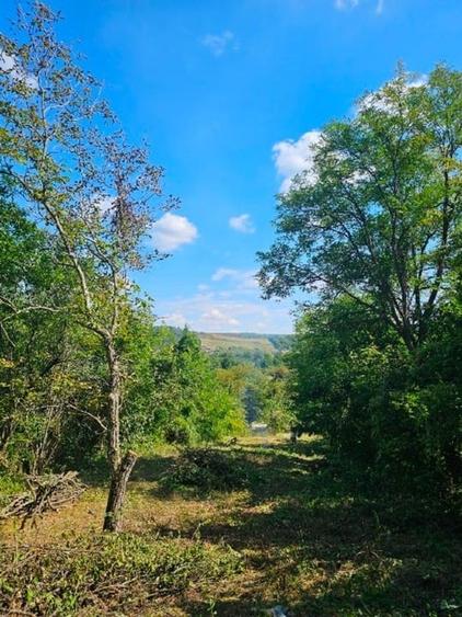 Teren cu priveliste spre vale, la padure, zona linistita, la 1h30 de Bucuresti - 5