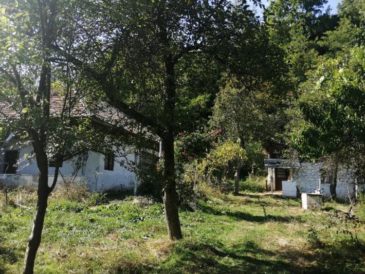Casă cu 3 camere cu Canalizare în Baia de Aramă