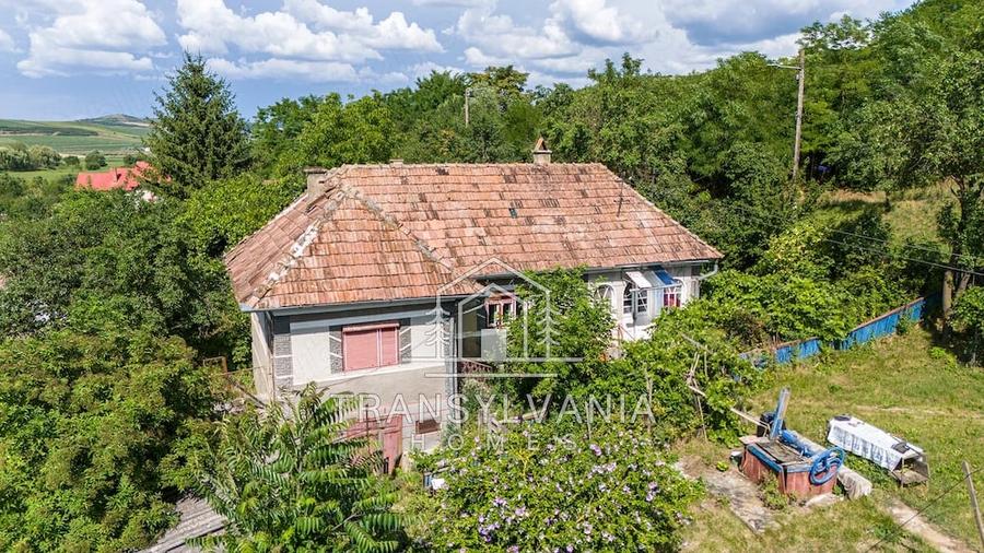 Casă cu Teren 2560 Mp în Sâmboleni